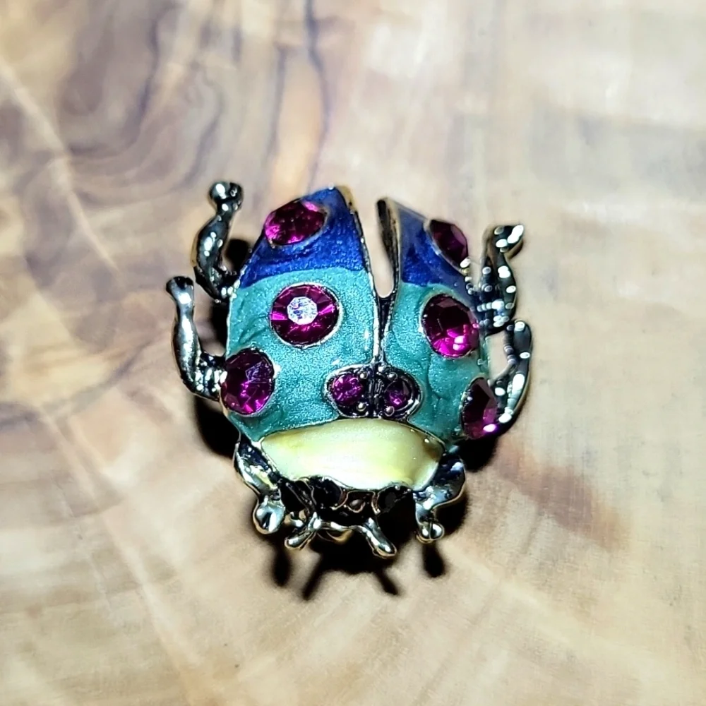 NEW 🐞 Rainbow Colored Beatle Lady Bug Womens Pin Brooch Red Rhinstone Gold Tone